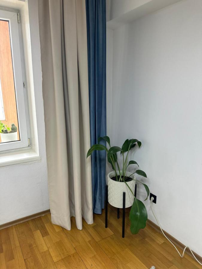13 Apartment
