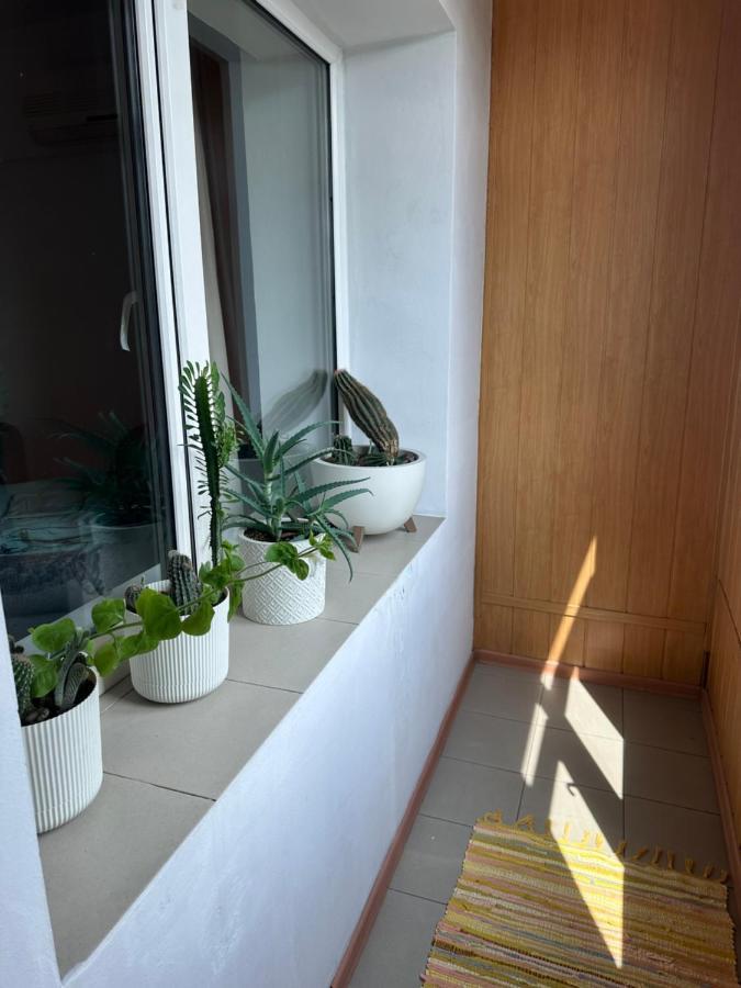 13 Apartment *
